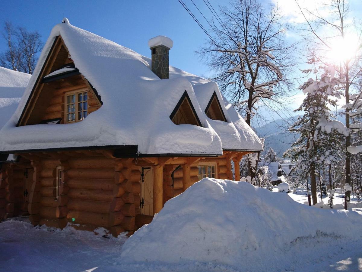 Biolo I Corno Izba Mountain Chalets Koscielisko Exterior photo